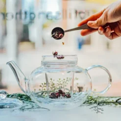 GROSCHE Monaco Glass Teapot With Glass Tea Infuser, 42 Fl Oz. Capacity -Household Kettle Shop GUEST 6e6f6d78 68d1 477d a6c8 d0de5e8198dd