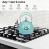 Itopfox Whistling Tea Kettle, Stainless Steel Teapot For Stovetop & Induction Cooktop, Fast Boiling Water Pot With Loud Whistle, Ergonomic Handle -Household Kettle Shop GUEST e5bc59b7 d240 488d a894 6ec2b0d4c1e1